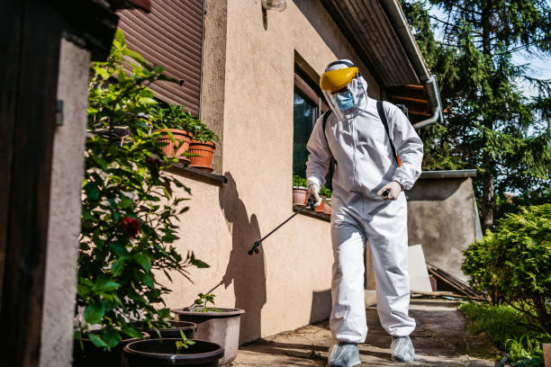 Best Pest Control Near Me  in Ellettsville, IN