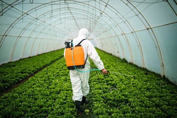 Best Affordable Pest Control Services  in Ellettsville, IN