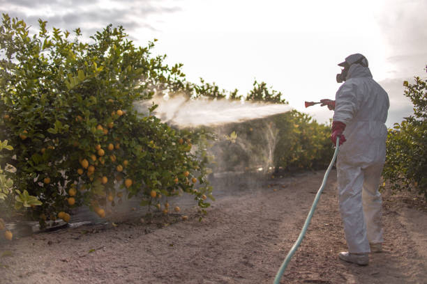 Best Pest Control Near Me  in Ellettsville, IN