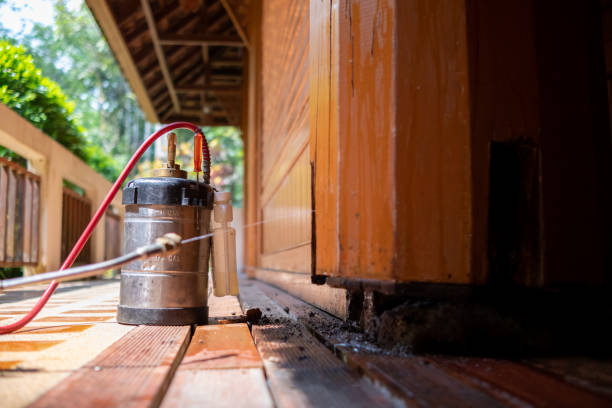 Best Exterminator Services  in Ellettsville, IN
