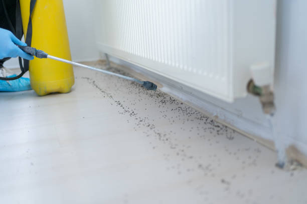 Best Emergency Pest Control  in Ellettsville, IN